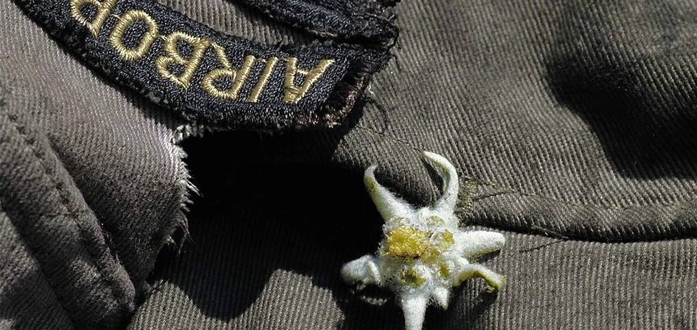 1754462579849602.png 832787aae72761785c7a56e39c8ed2c1.png