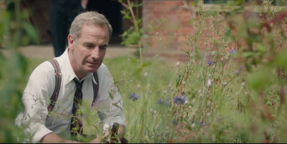 1755851310354615.png e253d5f2194eb65766be7be1e6bd49e0.png