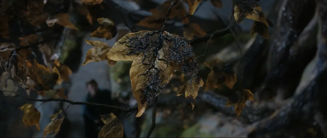 1756091554622484.png 3f299feb170f276ed4b553654a395b92.png