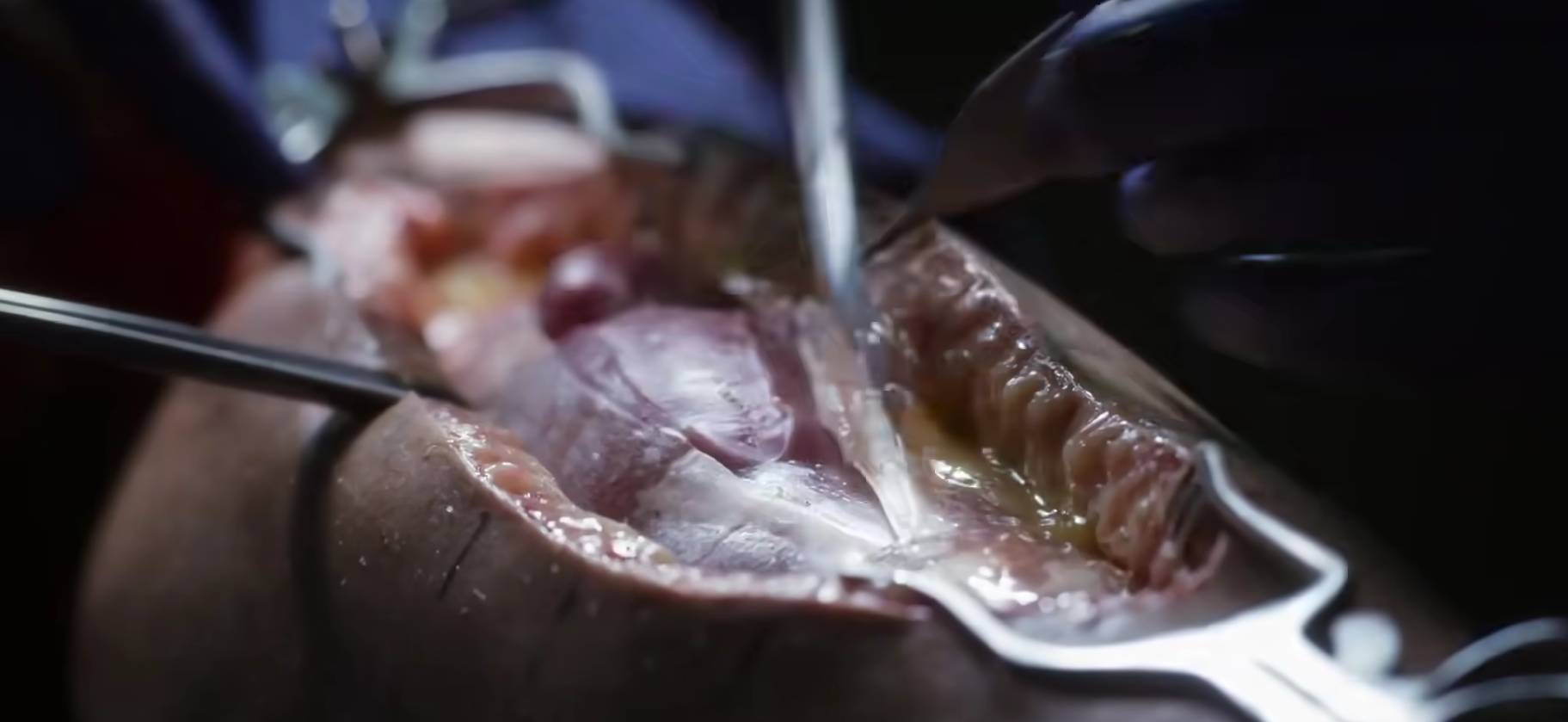 1760341286797690.png 屏幕截图 2025-10-13 151409.png