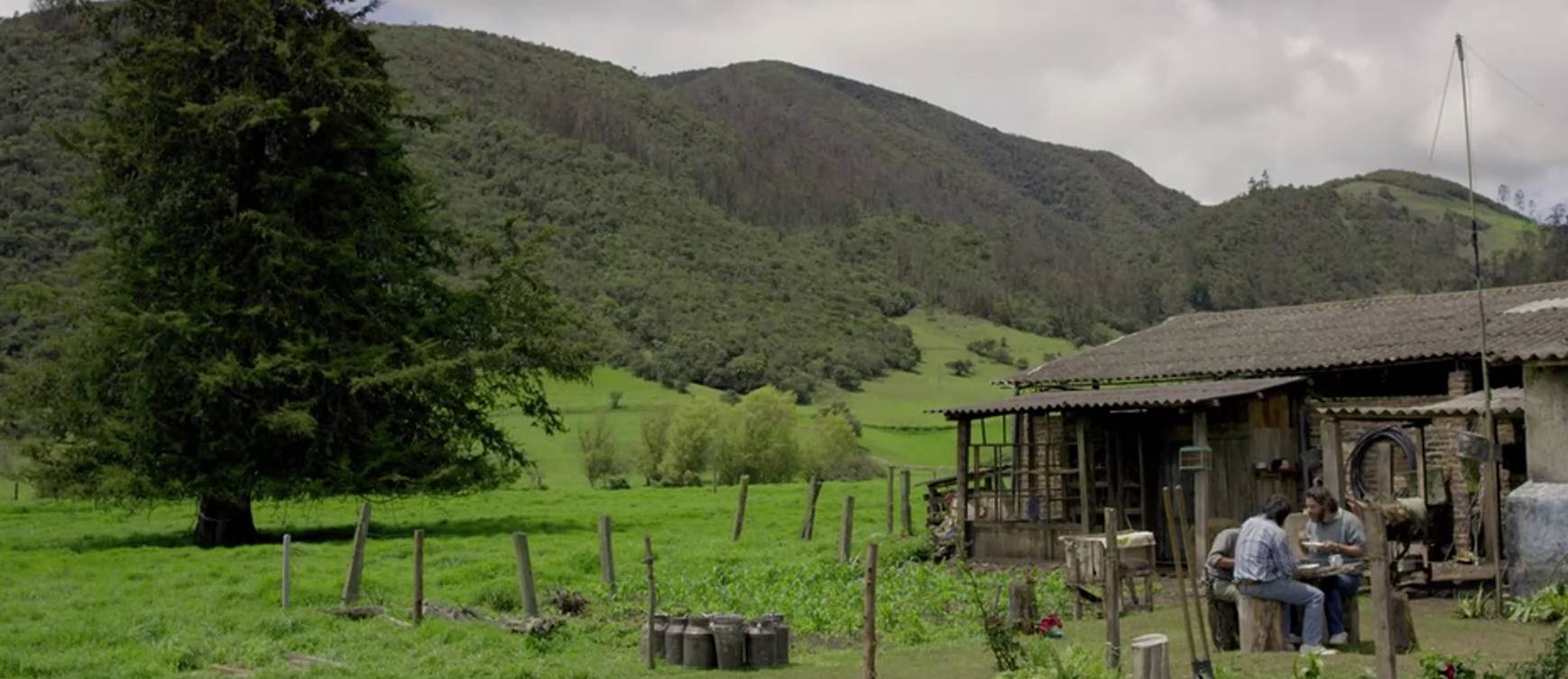 1762928188292735.png 屏幕截图 2025-11-12 134916.png