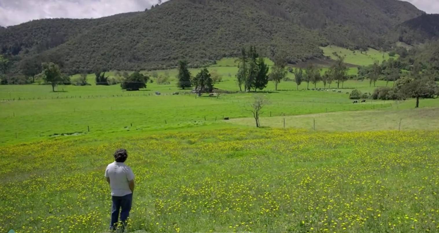 1762928271113481.png 屏幕截图 2025-11-12 135522.png