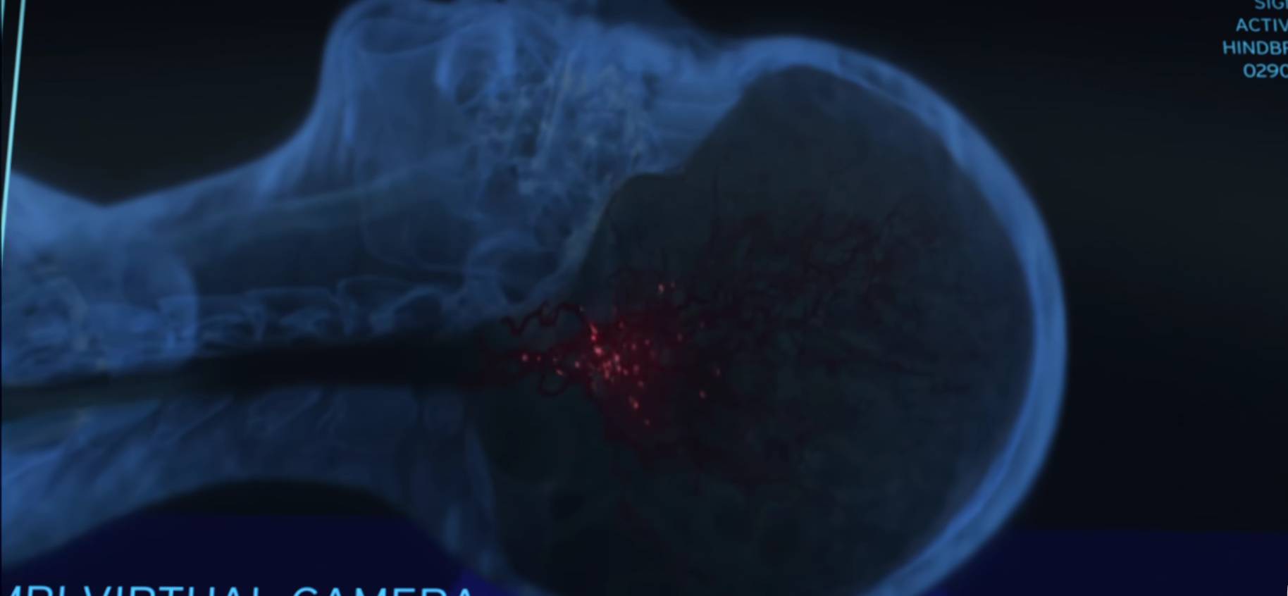 屏幕截图 2025-09-29 151518.png