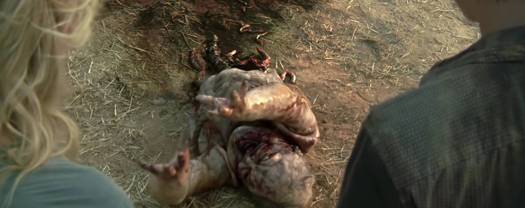 屏幕截图 2025-09-30 134116.png