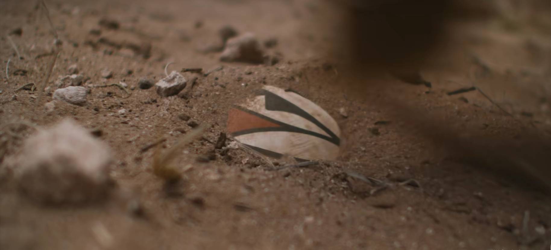 屏幕截图 2025-10-21 171005.png