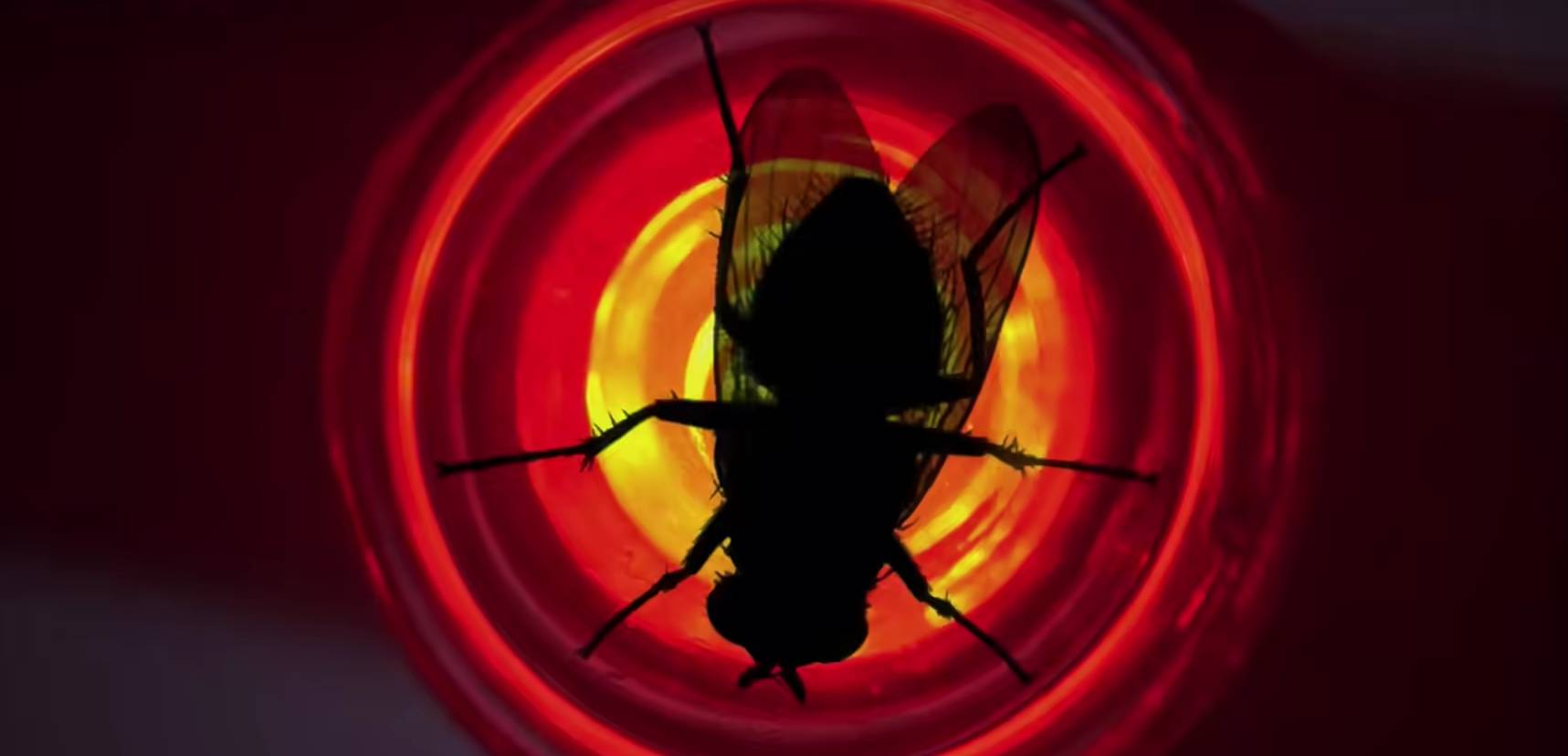 屏幕截图 2025-11-04 152055.png